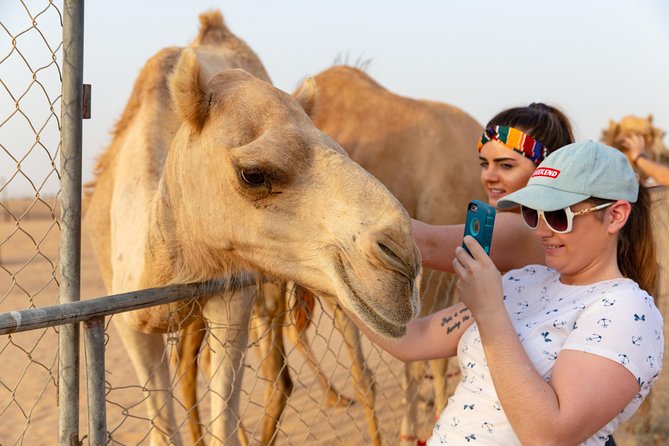 Premium Dubai Desert Safari with BBQ Dinner in the Red Dunes - BBQ dinner with plenty of familiar choices