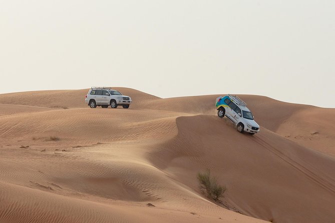 Premium Dubai Desert Safari with BBQ Dinner in the Red Dunes - Lahbab’s camels and the first photo stop