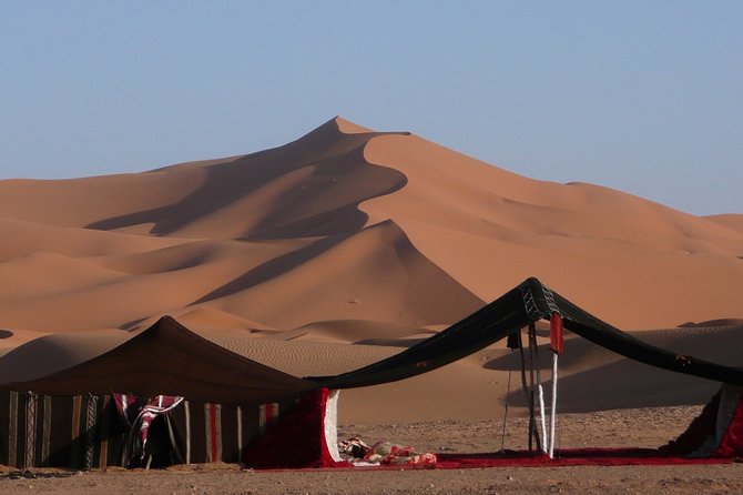 Premium Full-Day Safari, Dune Bash, Camel Ride and BBQ Meal in Desert Camp - Key points to know before booking