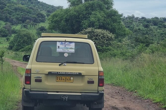 Private 1 Day Akagera Big Five Safari with pick up and lunch. - Lunch, water, and the open-roof question