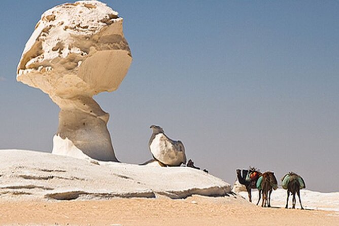 Private 2 Days Jeep Safari to White Desert and Bahariya Oasis - Why this Cairo desert trip is worth two days