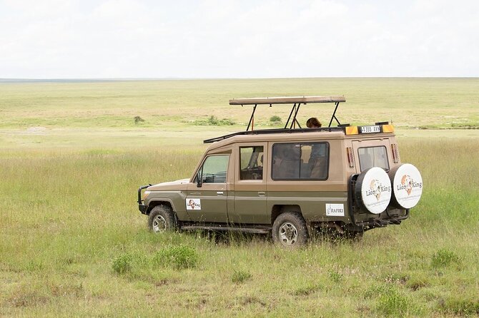 Private 6-Day Great Migration Ndutu Serengeti Safari Tour - Day four: the calving grounds at their busiest