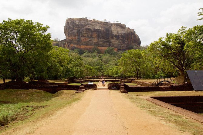 Private Day Trip to Sigiriya, cave and National park Safari Tour - The real price of a $68.50 tour