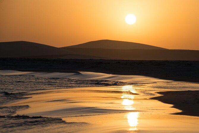 Private Desert Safari Fast Track - Why this four-hour desert trip works