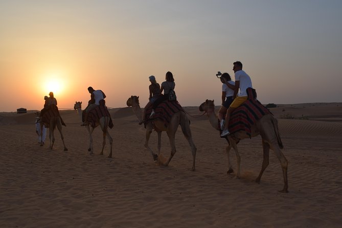 Private Desert Safari Red Dune with BBQ, Sand Boarding and Camel Ride - The camel farm and short ride
