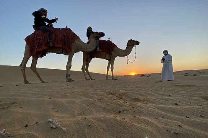 Private Doha City & Desert Safari Combo – Full-Day Adventure - Why this Doha combination makes sense