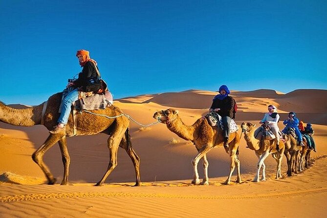 Private Evening Desert Safari with BBQ Dinner Dubai - BBQ dinner with familiar and local choices