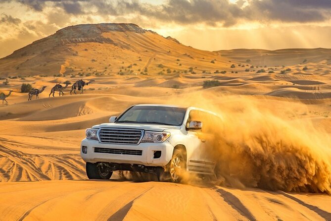 Private Evening Desert Safari with BBQ Dinner Dubai - What the $412 private price really covers