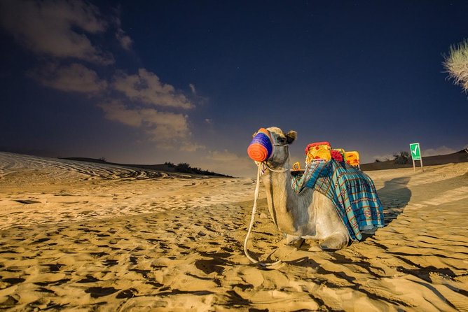 Private Evening Desert Safari with BBQ Dinner Dubai - Sandboarding on the red dunes