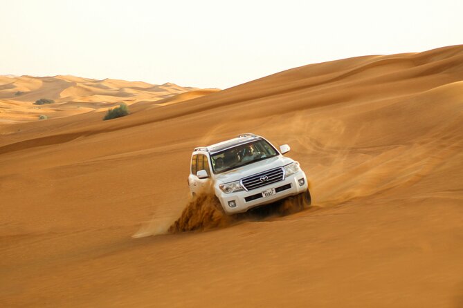 Private Evening Desert Safari with BBQ Dinner & Sand Boarding - Who will enjoy this safari most