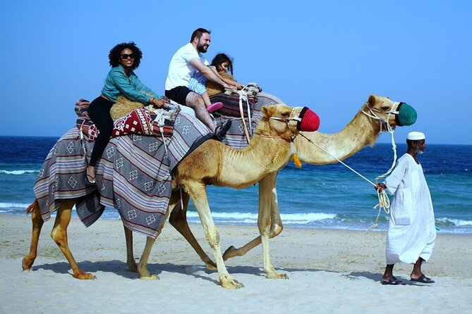 Private Full Day Desert Safari - Is $185.43 Good Value?