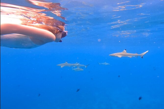 Private Full Day Lagoon Safari and Lunch on a Motu in Bora Bora - A motu lunch with local personality