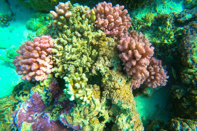 Private Full Day Lagoon Safari and Lunch on a Motu in Bora Bora - Weather, comfort, and practical limits