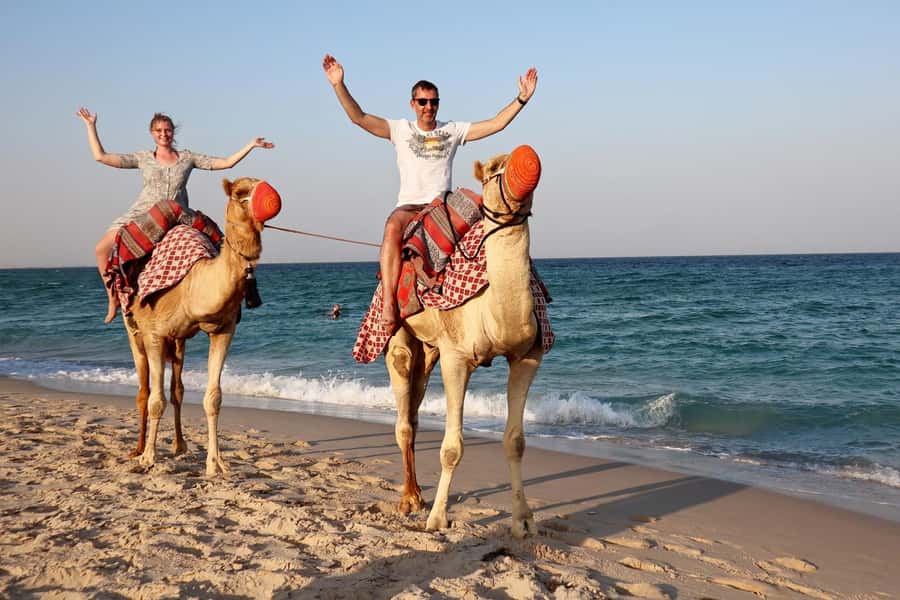 Private Half-Day Desert Safari Tour+Camel Ride - What the camel ride is really like
