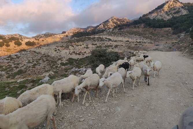 PRIVATE Jeep Safari 4x4 SUNSET (with Dinner) in Mountains CRETE - Returning under the stars, or stopping for dinner
