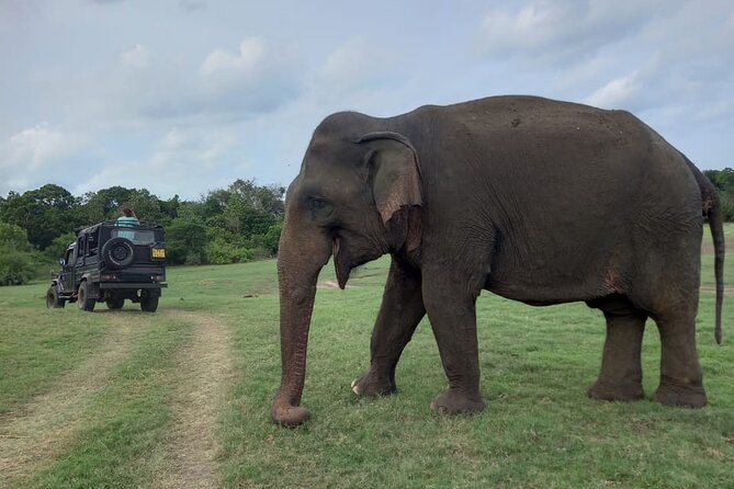 Private Jeep Safari at Minneriya National Park to Visit Elephants - Entering Minneriya National Park