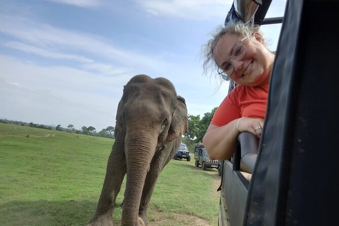 Private Jeep Safari at Minneriya National Park to Visit Elephants - The guides make or break the outing