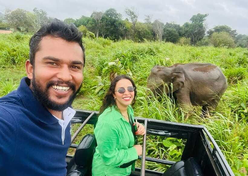 Private Kandy to Sigiriya and Minneriya Safari Day Tour - What the $40 price really buys