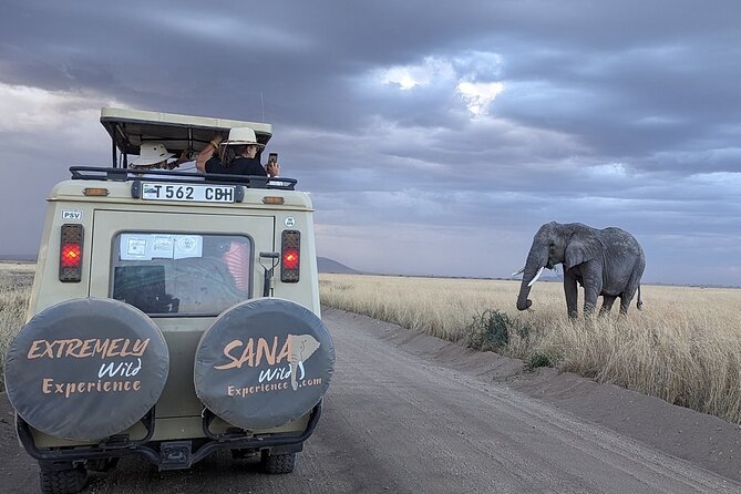 Private Multi Day Tour Tanzania Safari - Day one: Tarangire and the first elephants