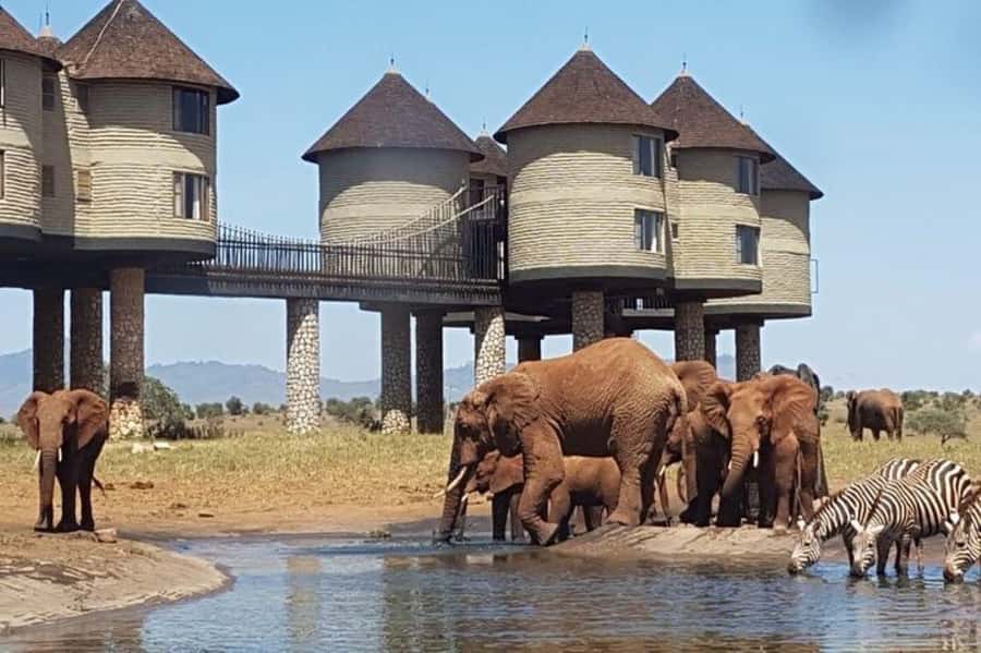 PRIVATE OVERNIGHT SALTLICK SAFARI FROM MOMBASA OR DIANI - From the Mombasa coast to Taita Hills