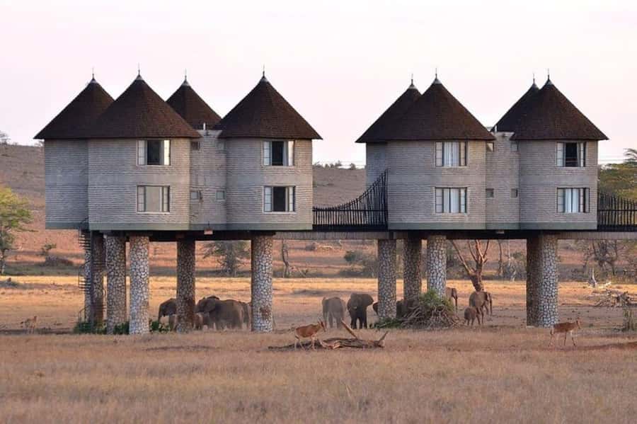 PRIVATE OVERNIGHT SALTLICK SAFARI FROM MOMBASA OR DIANI - The first afternoon: lunch, rest, and a sunset drive
