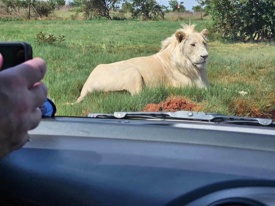 Private Rhino and Lion Park, Cradle Caves or Maropeng Museum - Should you book the Rhino and Lion Park and Cradle of Humankind tour?
