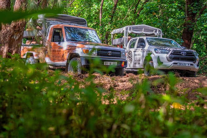 Private Safari Adventure Tour in Bora Bora with Local Guide - How the private format changes the experience
