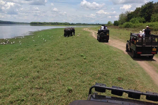 Private Trip to Sigiriya, Dambulla & safari from Colombo/ Negombo - What the private vehicle adds to the day