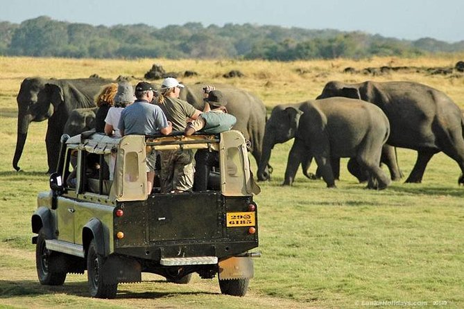 Private Trip to Sigiriya, Dambulla & safari from Colombo/ Negombo - The real price of the $67 tour
