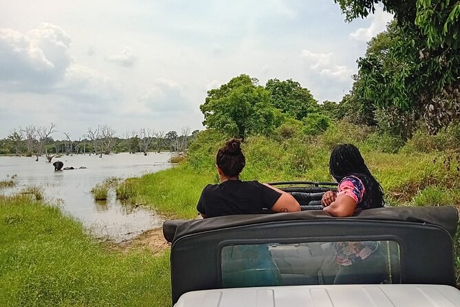 Private Wilpatu National Park Leopard safari from Colombo/Negambo - Is $78 a good value?
