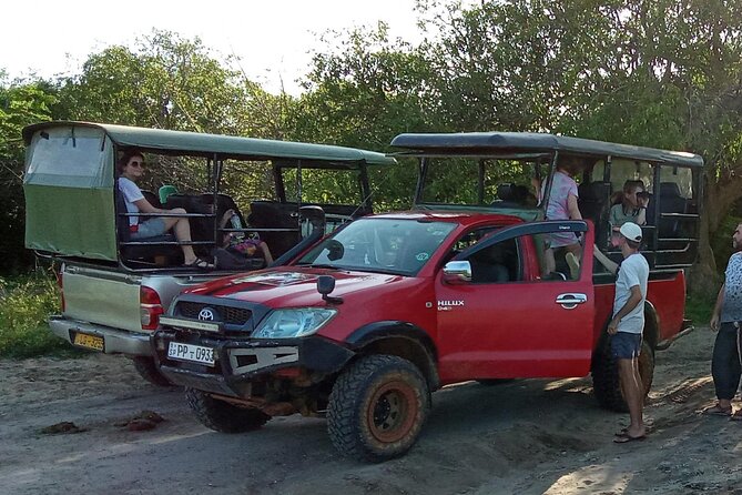 Private Wilpatu National Park Leopard safari from Colombo/Negambo - The 8:30 a.m. pickup from Colombo or Negombo