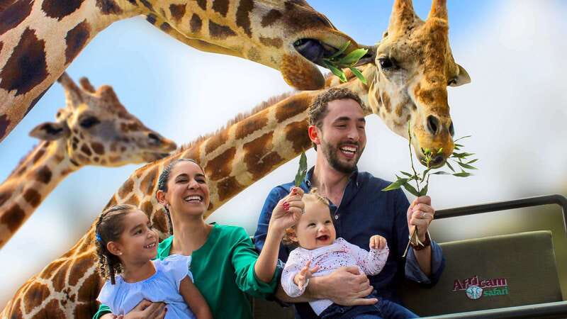 Puebla Africam Safari Park, Live an Unforgettable Adventure! - The coach matters more than the brochure photos