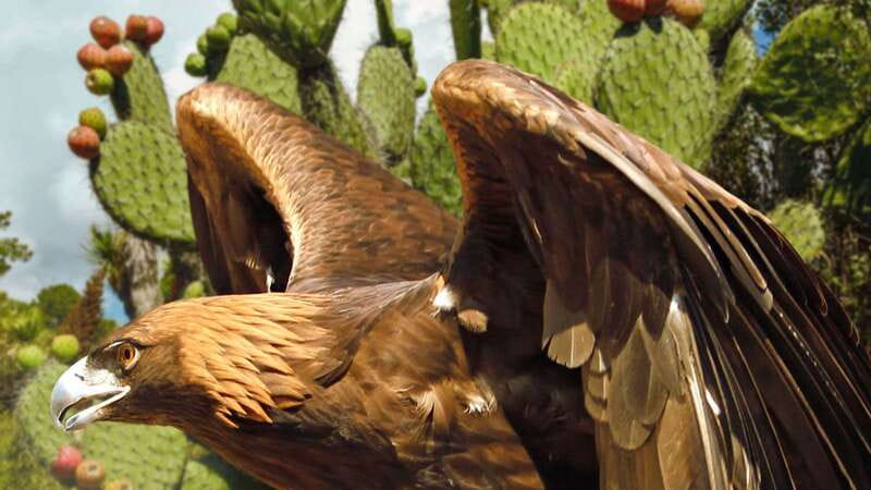 Puebla Africam Safari Park, Live an Unforgettable Adventure! - The best and weakest parts of the four-hour visit