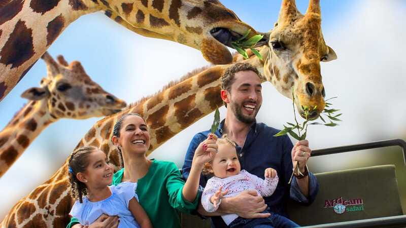 Puebla Africam Safari Park, Live an Unforgettable Adventure! - Is $43 a fair price?