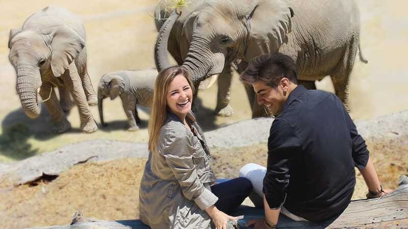 Puebla Africam Safari Park, Live an Unforgettable Adventure! - Practical details for a smoother day