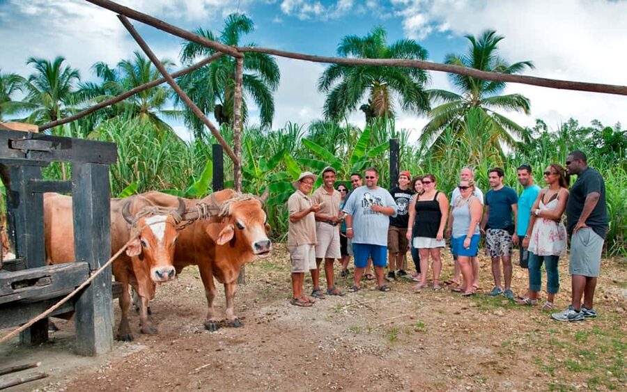 Punta Cana: Bavaro Runners Safari Tour - Why this tour is a useful break from the resort