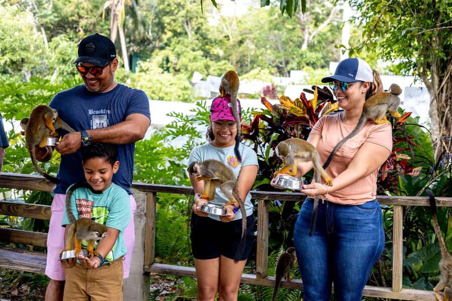 Punta Cana: Monkey Land Half-Day Safari and Plantation - The drive from Punta Cana to Monkeyland