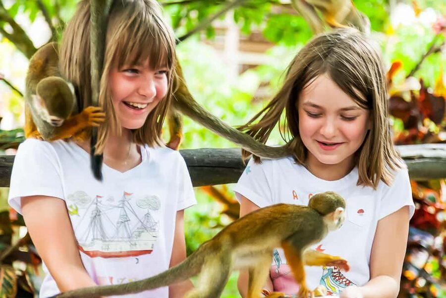 Punta Cana: Monkey Land Half-Day Safari and Plantation - Meeting the squirrel monkeys at Monkeyland