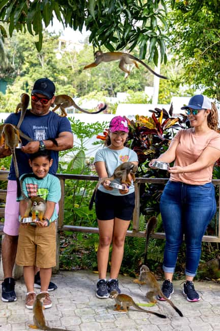 Punta Cana: Monkey Land Half-Day Safari and Plantation - Is $95 a fair price?