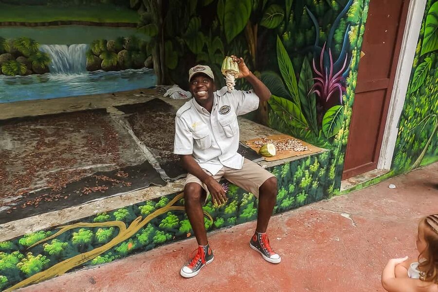 Punta Cana: Monkey Land Half-Day Safari and Plantation - Should you book Monkeyland?