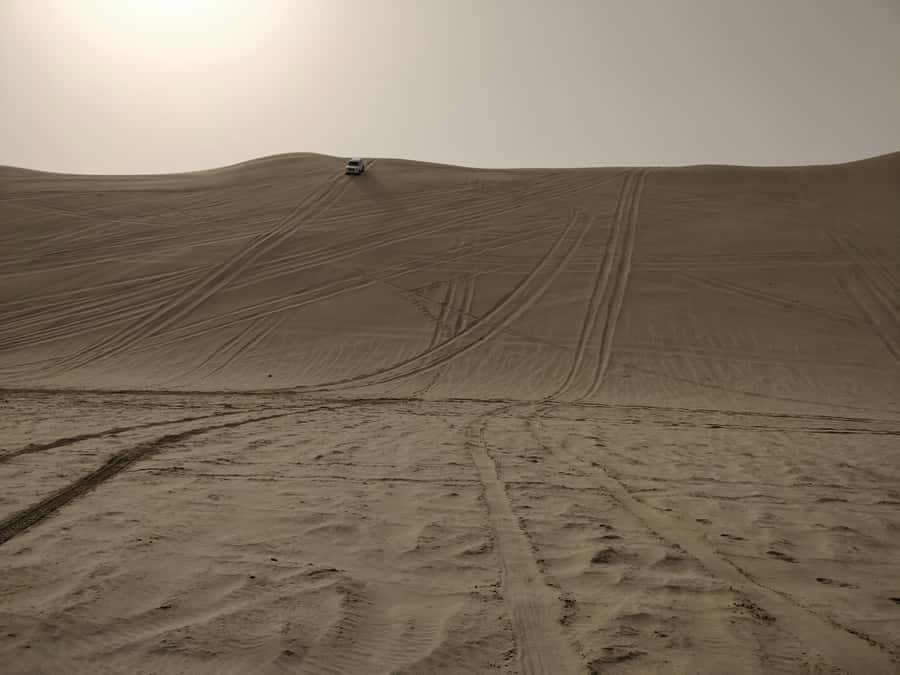 Qatar: Desert Safari, Camel Ride, Inland sea, Sandboarding - What the $19 price really gives you