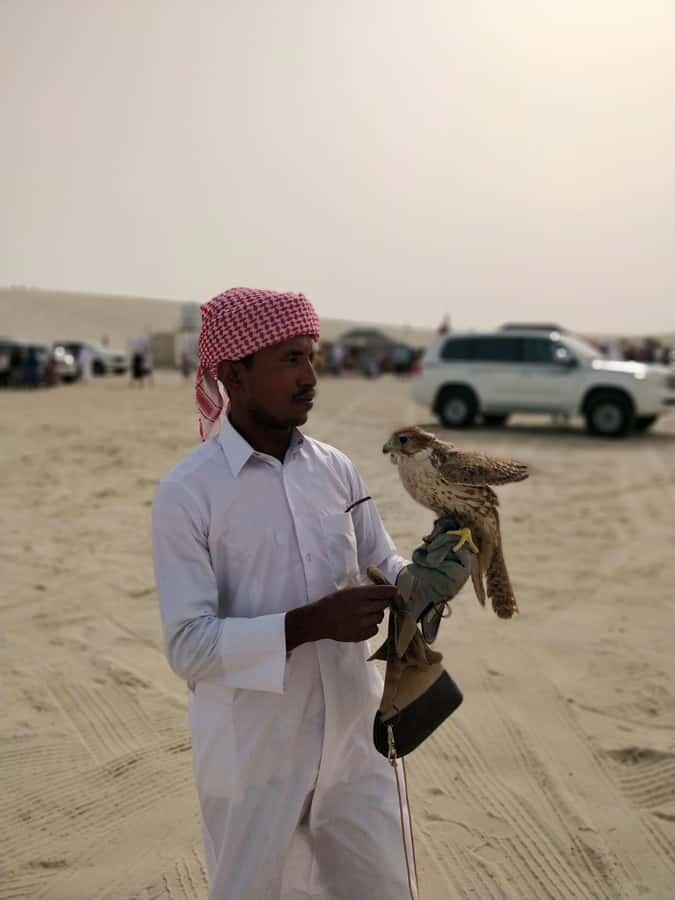 Qatar: Desert Safari, Camel Ride, Inland sea, Sandboarding - Who will enjoy this desert safari most