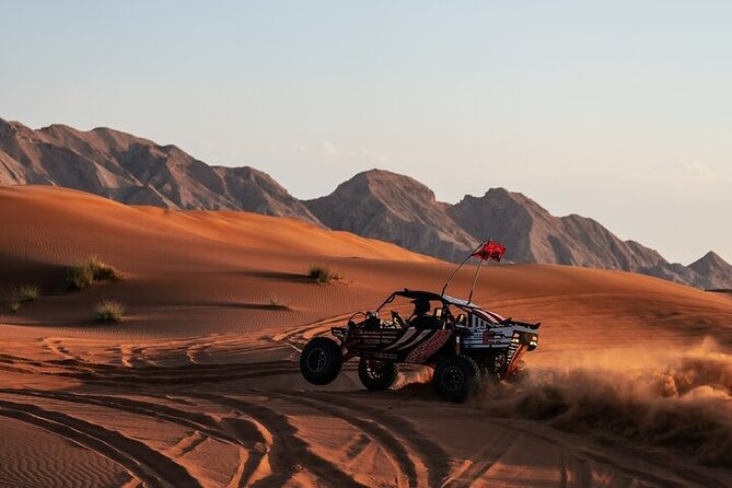 Qatar Desert Thrills Self Ride Dune Buggy Safari and Camel Ride - The camel ride: traditional, but brief