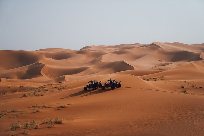 Qatar Desert Thrills Self Ride Dune Buggy Safari and Camel Ride - How much value do you get for $199?