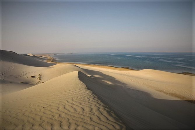 Qatar Gold Dune Safari, Dune Bashing,Camel Ride,Sand Boarding,Inland Sea Desert - Is $44.59 good value?