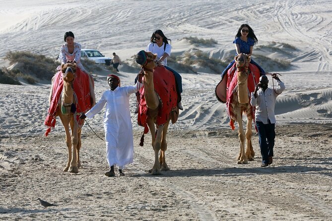 Qatar Half Day Desert Safari(Camel Rides & Sandboarding) - A private tour helps families and small groups