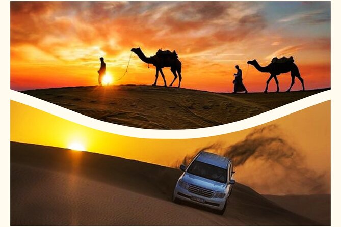 Qatar Sunset Desert Safari: Dune Bashing & Golden Sands Adventure - Key points at a glance