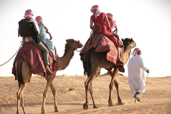 Qatar Sunset Desert Safari: Dune Bashing & Golden Sands Adventure - Two hours of dune bashing across Qatar’s golden sands
