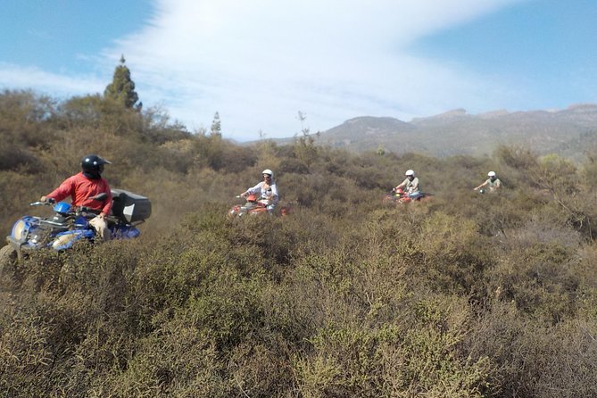 Quad Bike Safari - Is $259 good value?