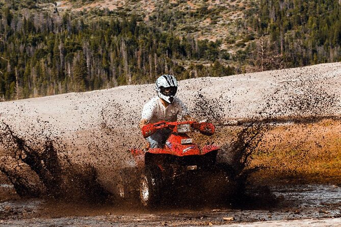 Quad Safari Experience in Alanya (Adventure Tour) w/ Free Hotel Transfer - Safety, equipment, and the points I would check